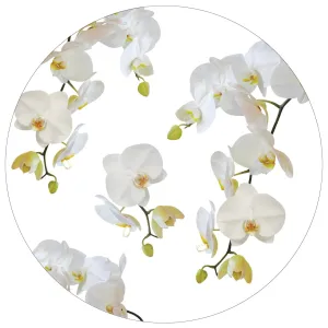 Placemats - Orchids